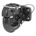 CURT Mfg 48231 Pintle Hook - Pintle hook fits lunette rings